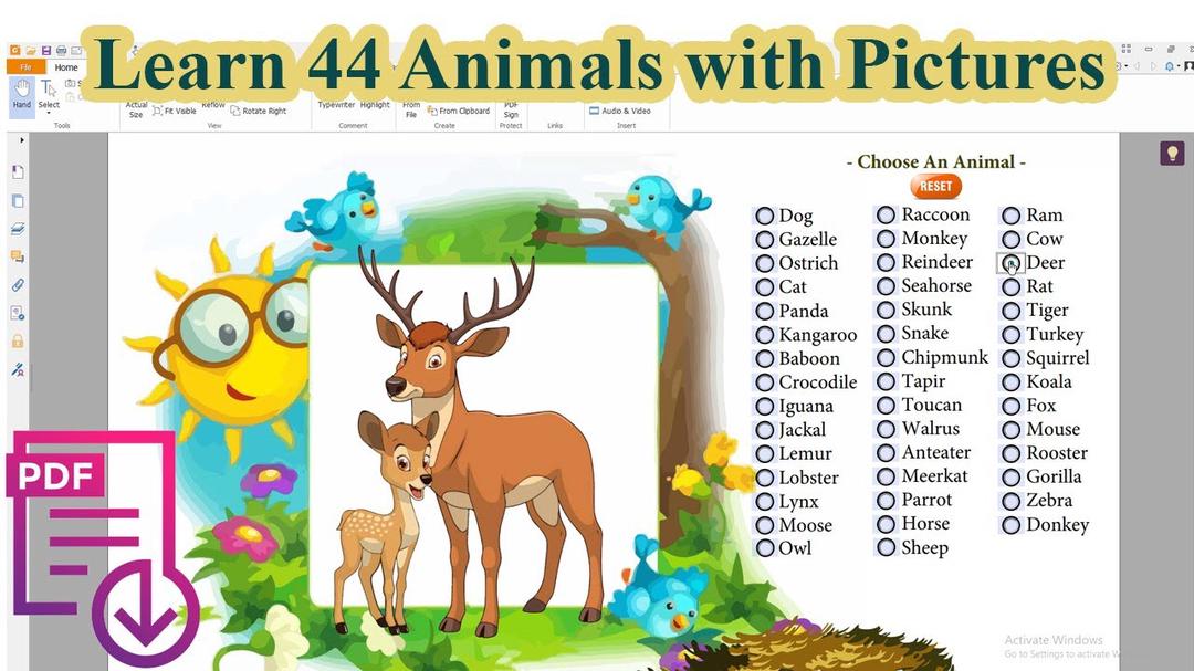 'Video thumbnail for List of Animals | Learn 44 Animals with Pictures | Animal Vocabulary Pdf'