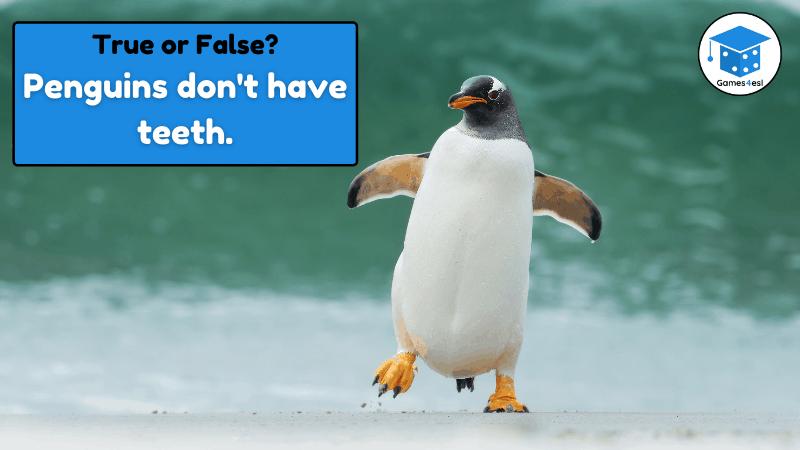 Animal True Or False Quiz Question
