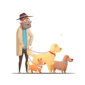 daily routine examples - a man walking dogs