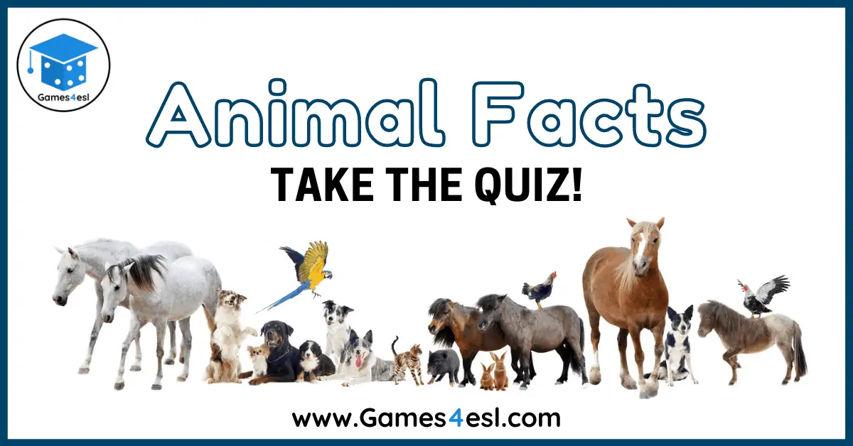 Animal Facts Quiz | Games4esl