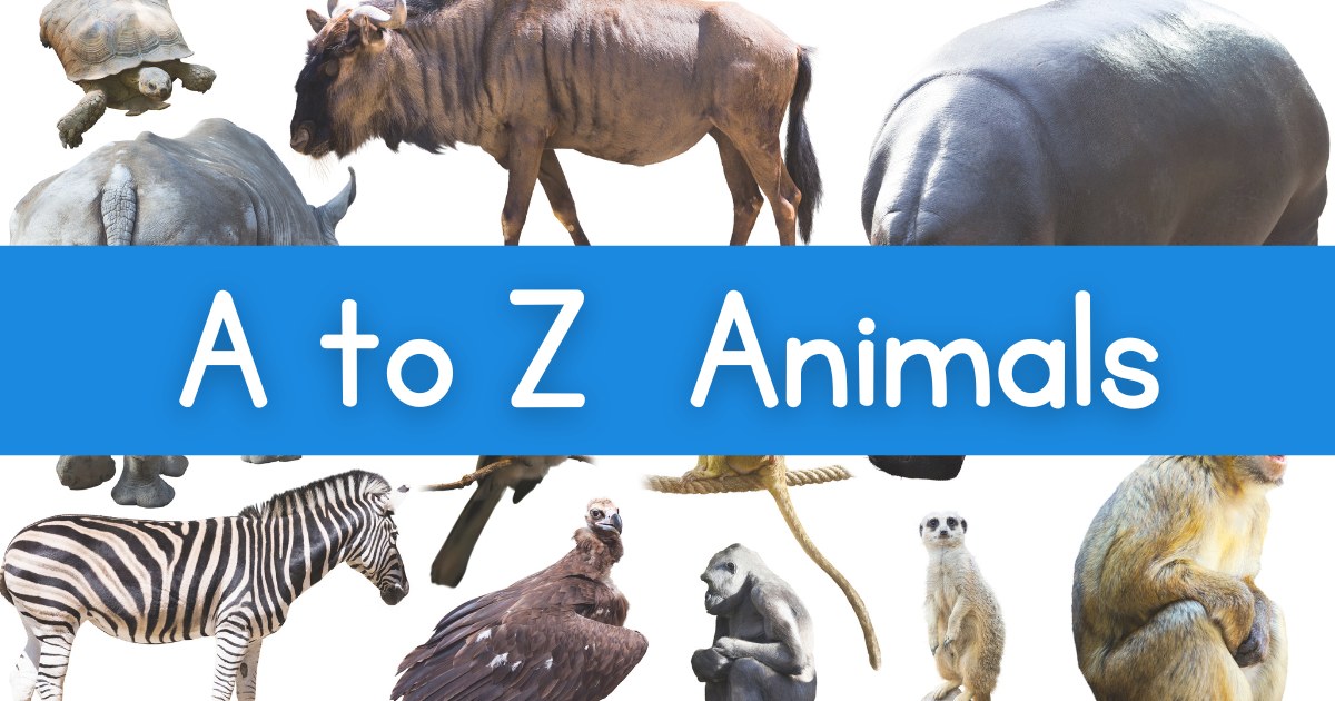 Various animals with the title 'A to Z Animals'
