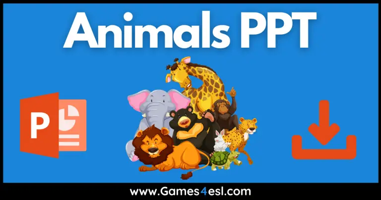 Animals PPT