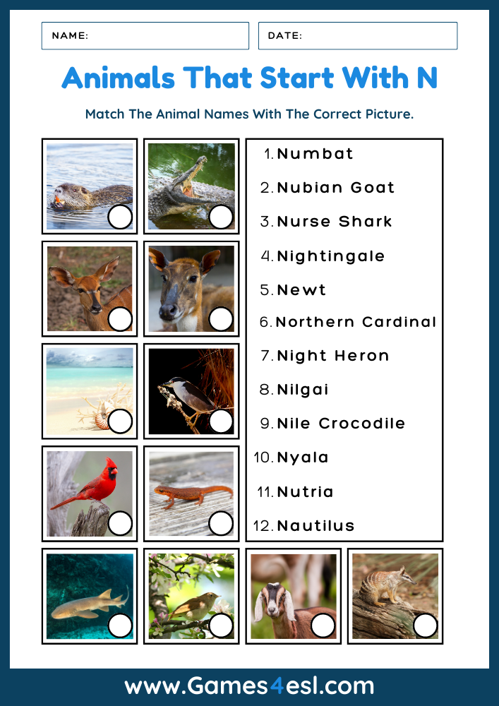 Animals That Start With N - Worksheet