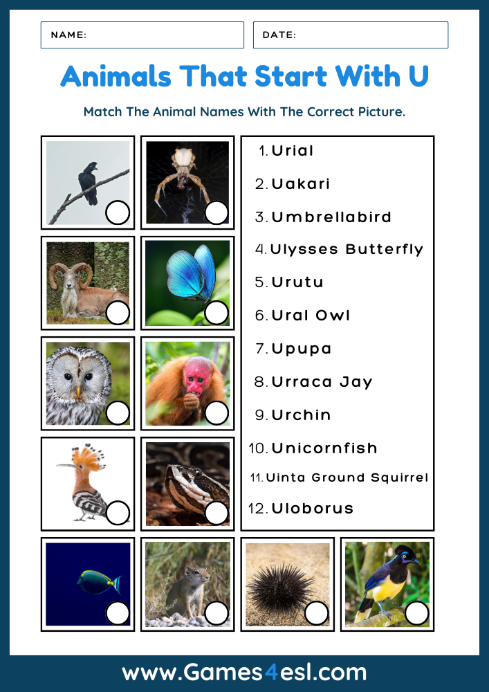 Animals That Start With U - Worksheet