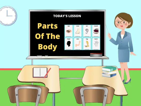 Parts of The Body - ESL Lesson Plan