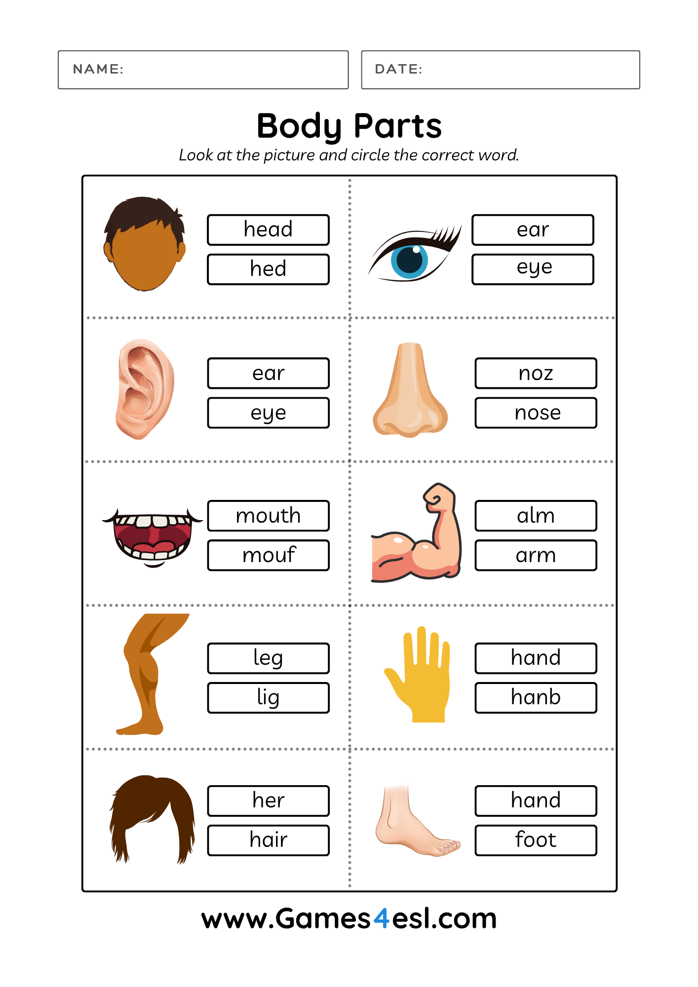 A Body Parts Spelling Worksheet for kids and beginners.