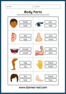 Body Parts Worksheets | Games4esl