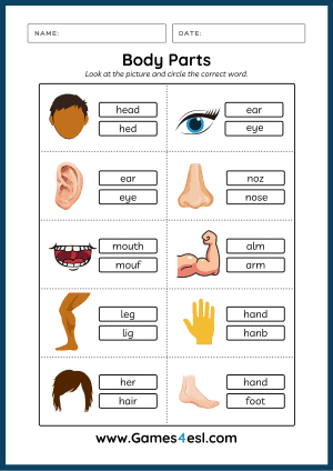 Body Parts Worksheets | Games4esl