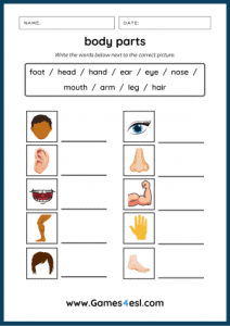 Body Parts Worksheets | Games4esl