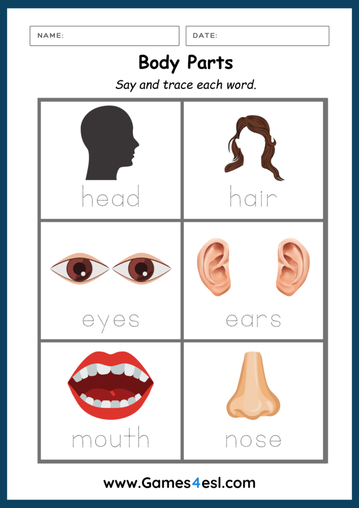 A Body Parts tracing worksheet for kids.