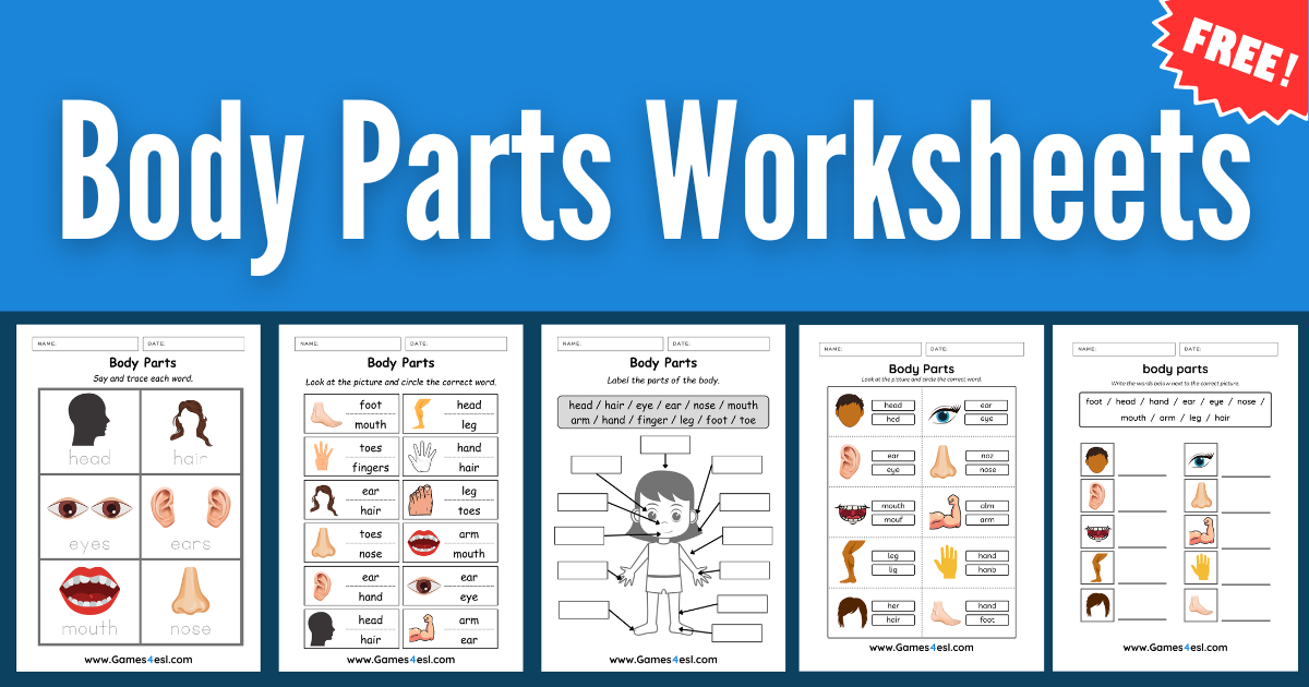 Collage of printable body parts worksheets for kids learning English vocabulary.