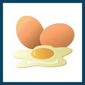 Breakfast Food - Eggs