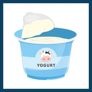 Breakfast Food - yogurt