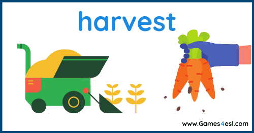 Fall Vocabulary - Harvest