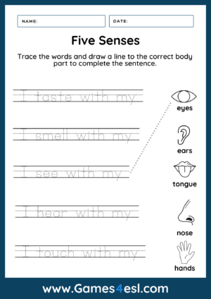 Five Senses Worksheet