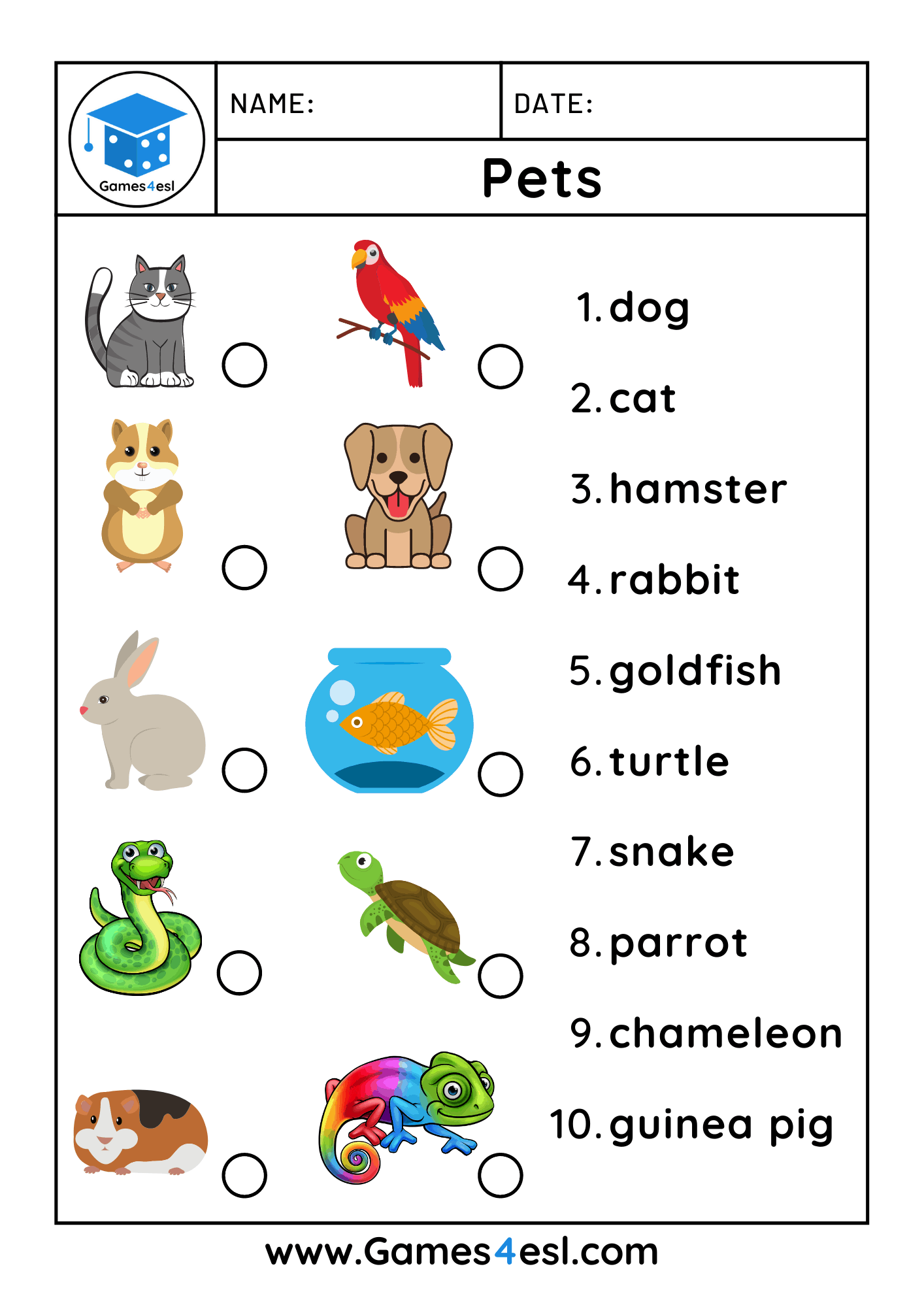 Pets In English, Guessing Game