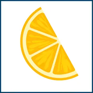 Yellow Fruits - Orange