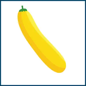 Yellow Fruits - Yellow Zucchini