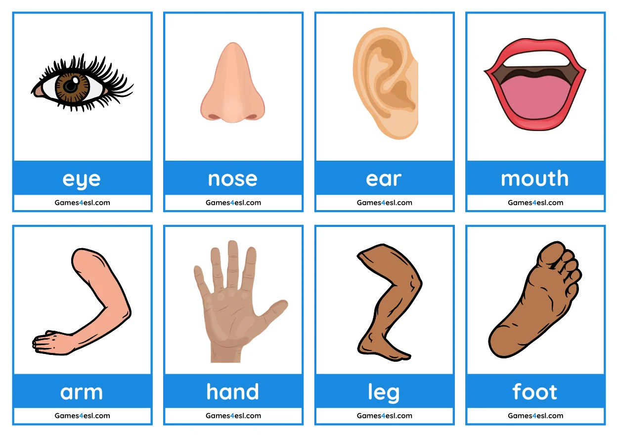 free body parts flashcards | games4esl
