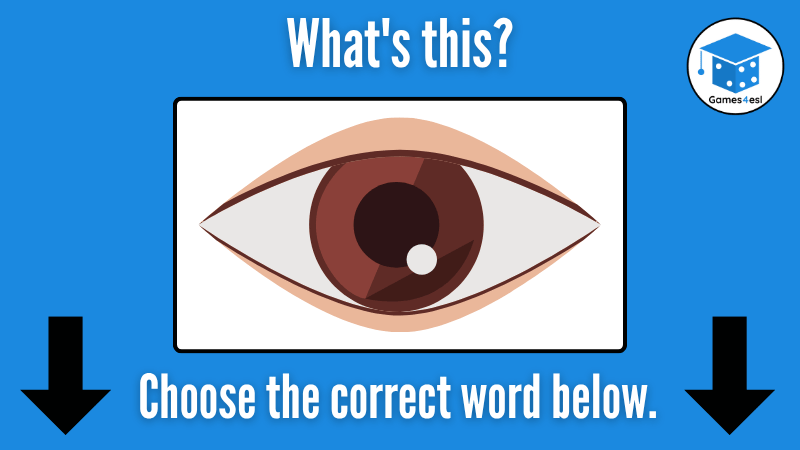 Eye