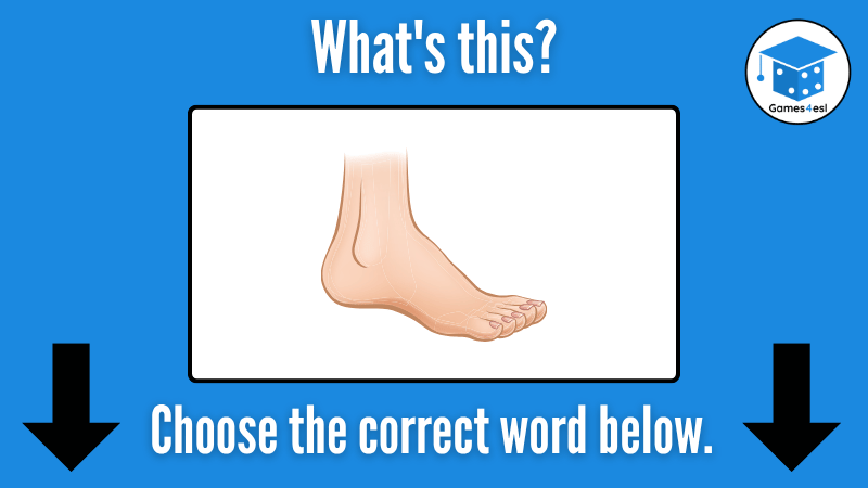 Foot