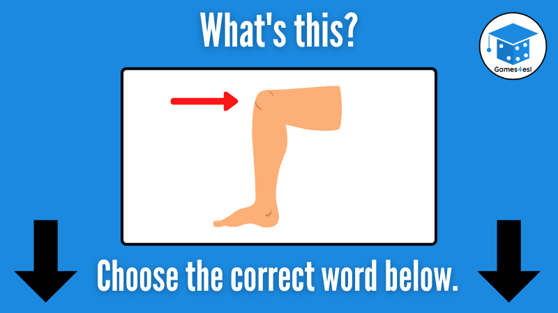 Knee
