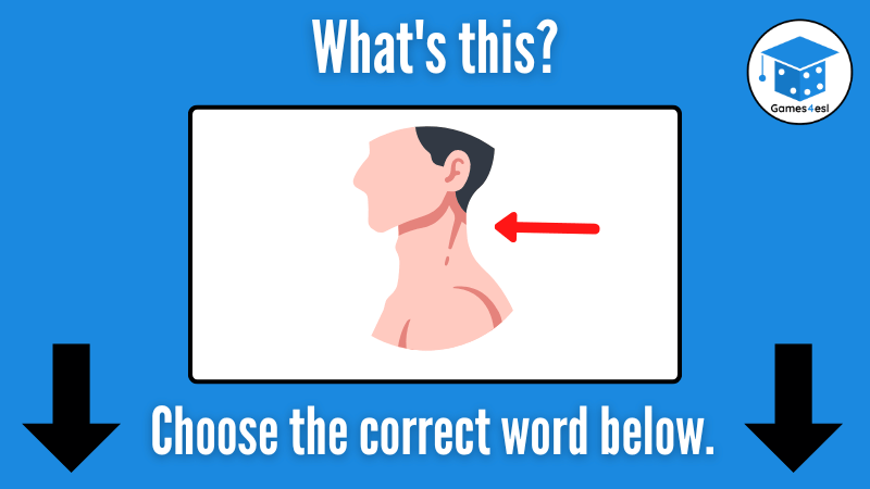 Neck
