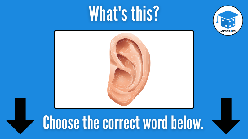 Ear