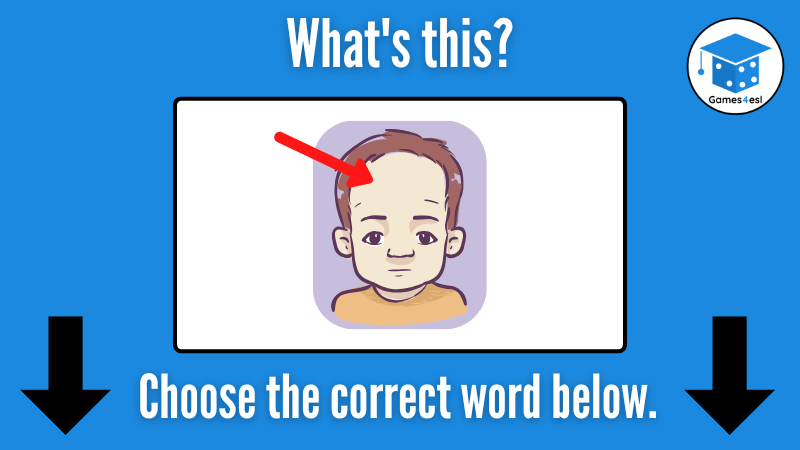 Forehead
