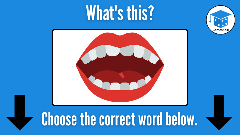 Mouth