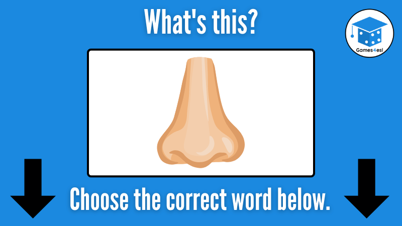 Nose