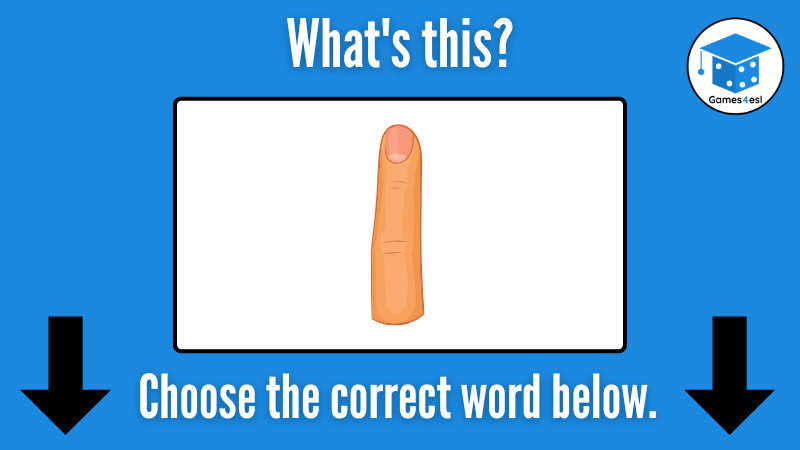 Finger