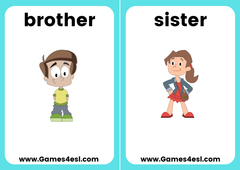 Preview of ESL family flashcards used in a lesson plan.